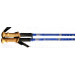 Палки для скандинавской ходьбы телескопическая, 2-х секционная R18143-PRO синий 75_75