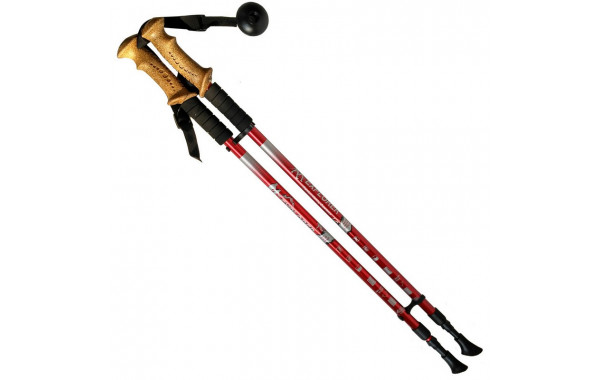 Палки для скандинавской ходьбы телескопическая, 2-х секционная R18142-PRO красный 600_380