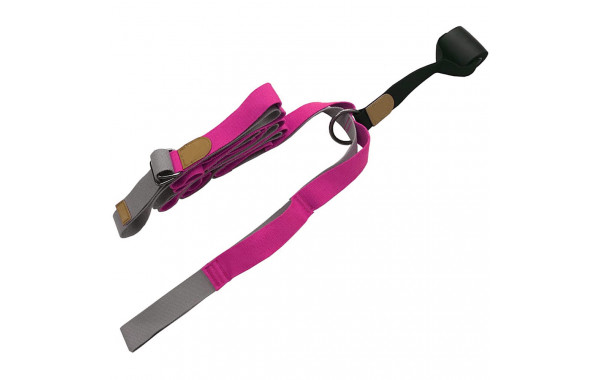 Эспандер для растяжки - йога лента Profi 2,8 метра (розовый) Sportex B34481 600_380