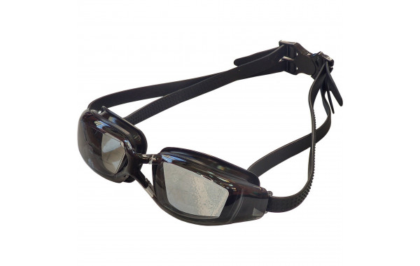 Очки для плавания Sportex взрослые E38895-2 черный 600_380
