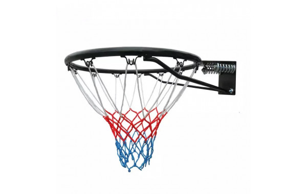 Кольцо баскетбольное Royal Fitness с пружинами S-R2 600_380