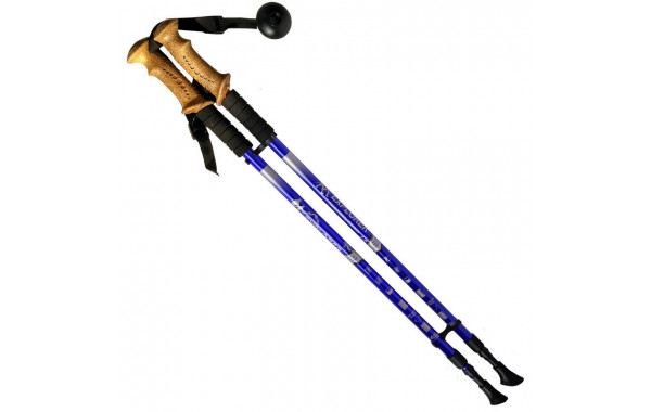Палки для скандинавской ходьбы телескопическая, 2-х секционная R18143-PRO синий 600_380