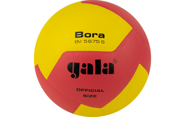 Мяч волейбольный Gala Bora 12 BV5675S р. 5 600_380