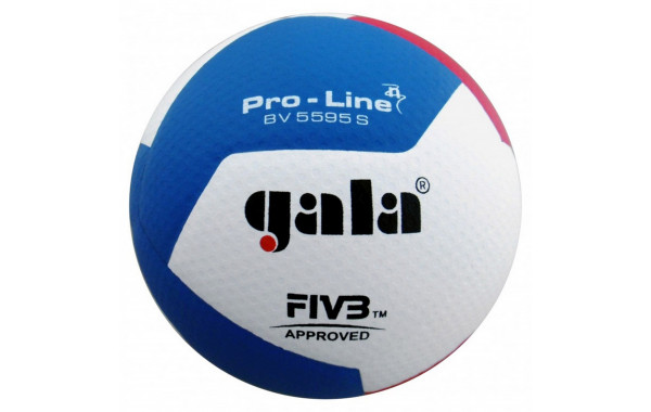 Мяч волейбольный Gala Pro-Line 12 FIVB BV5595S р.5 600_380