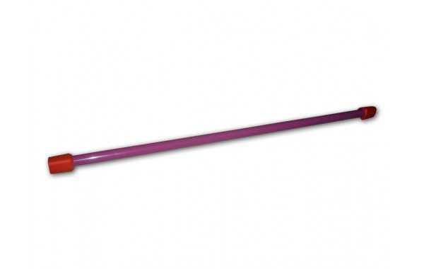 Бодибар ФСИ 6кг, L-1200мм фиолетовый 600_380