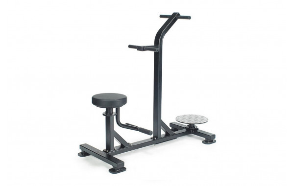 Двойной поворот туловища UltraGym LF-211 600_380