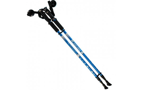Палки для скандинавской ходьбы 2-х секционные с чехлом (синие) R18141-PRO 600_380