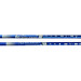 Палки для скандинавской ходьбы телескопическая, 2-х секционная R18143-PRO синий 75_75