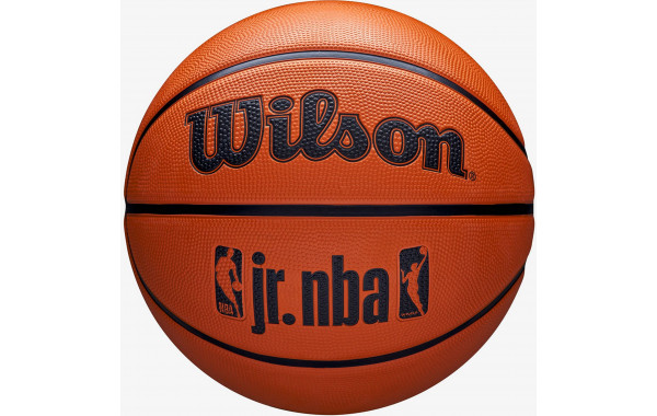 Мяч баскетбольный Wilson JR NBA DRV Fam Logo WZ3013001XB6 р.6 600_380