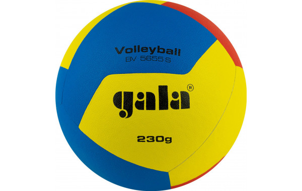 Мяч волейбольный Gala Training 230 12 BV5655S р. 5 600_380