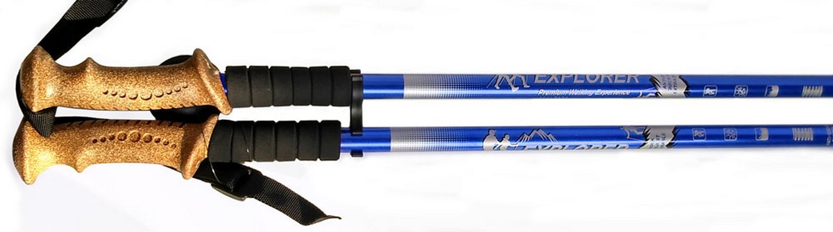 Палки для скандинавской ходьбы телескопическая, 2-х секционная R18143-PRO синий 1200_335