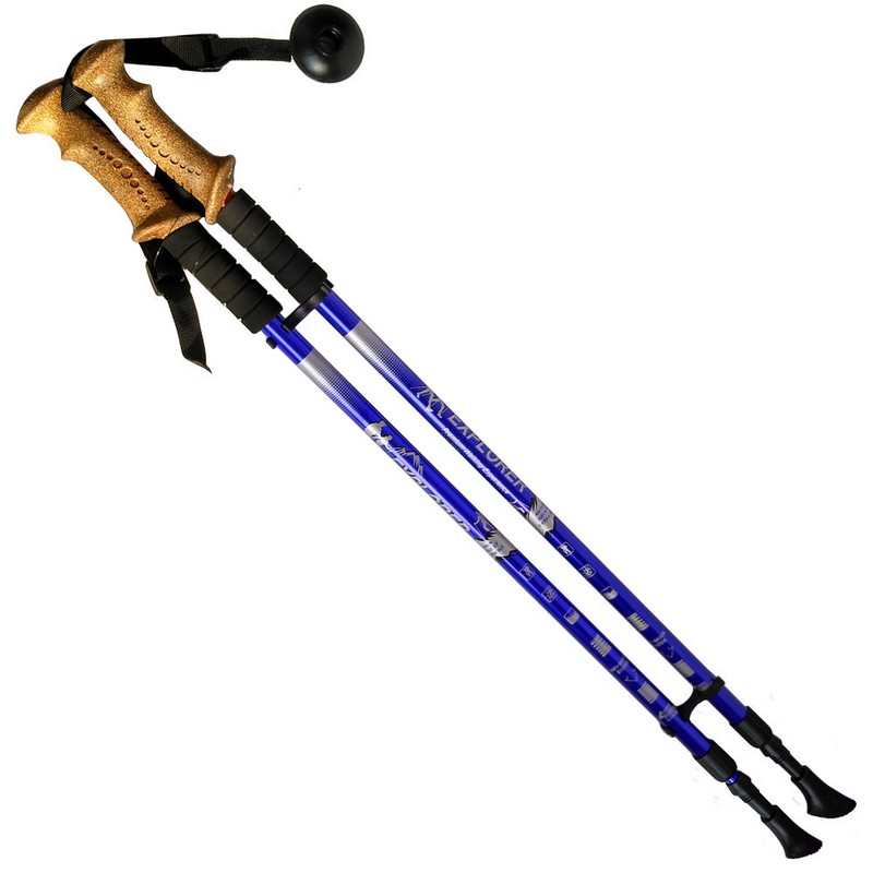 Палки для скандинавской ходьбы телескопическая, 2-х секционная R18143-PRO синий 800_800