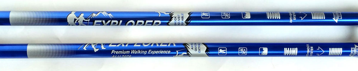 Палки для скандинавской ходьбы 2-х секционные с чехлом (синие) R18141-PRO 1200_238