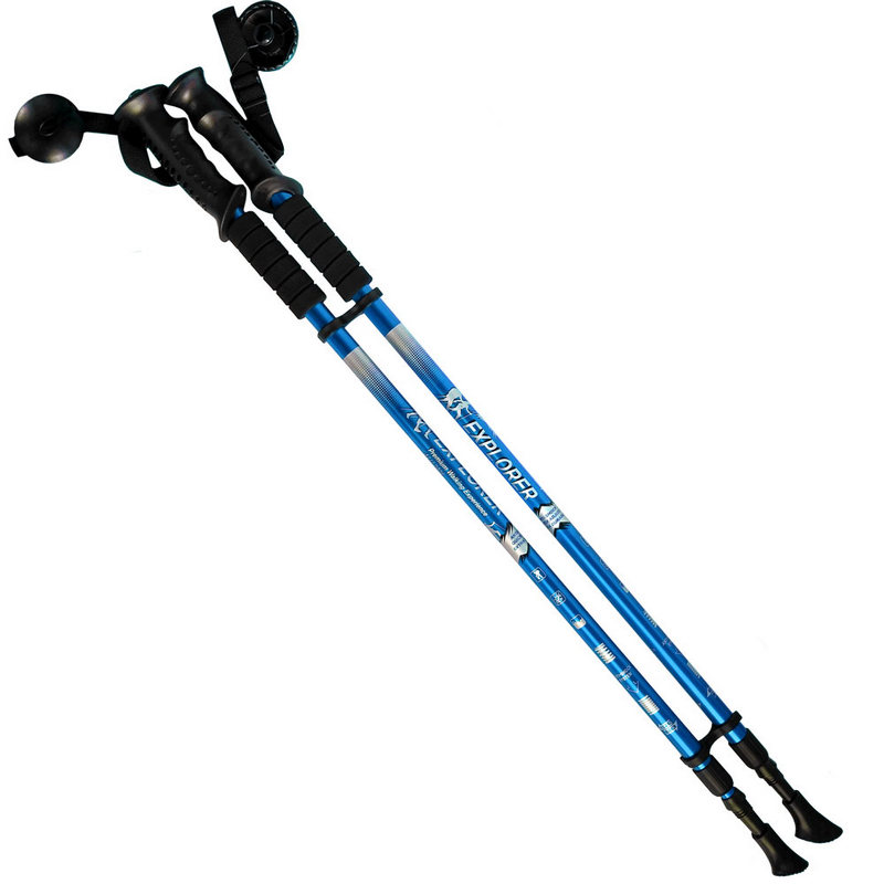 Палки для скандинавской ходьбы 2-х секционные с чехлом (синие) R18141-PRO 800_800