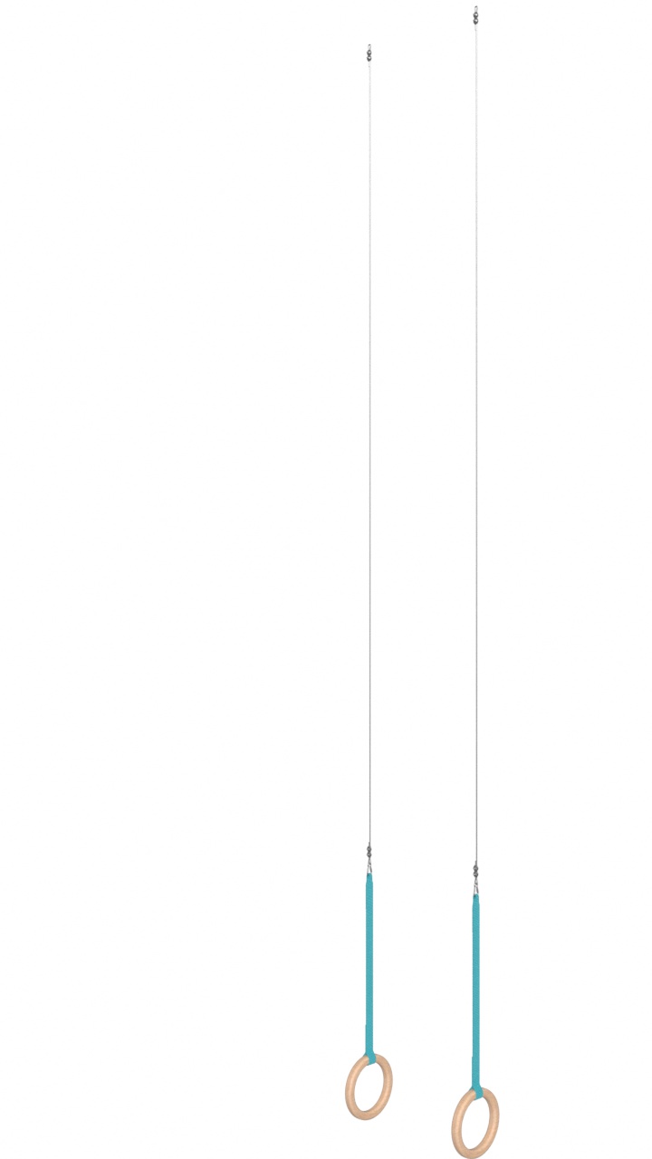 Кольца гимнастические D=235 мм с тросом 3 м Glav 04.402 720_1280