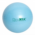 Мяч гимнастический Inex Swiss Ball BU-22 55см голубой 120_120