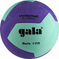 Мяч волейбольный Gala Soft 170, 12 BV5685SCF р.5 120_120